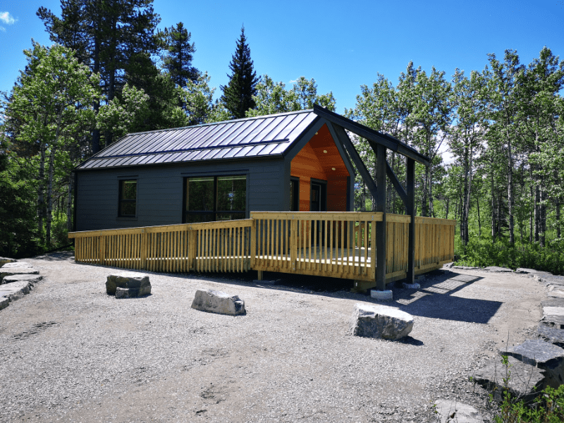Finished modular cabin in a forest setting